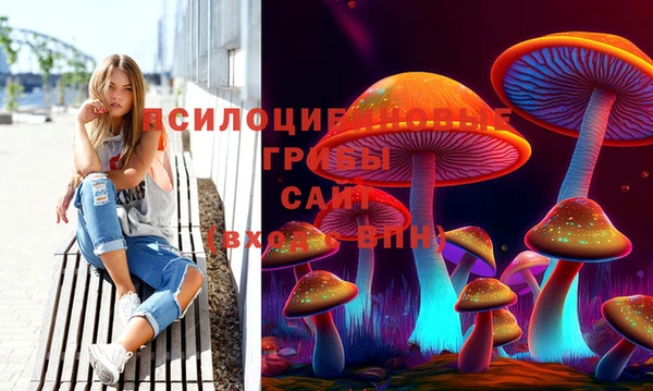 шишки Баксан