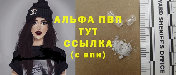 шишки Баксан