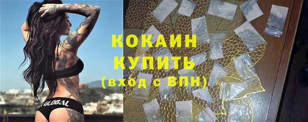 шишки Баксан